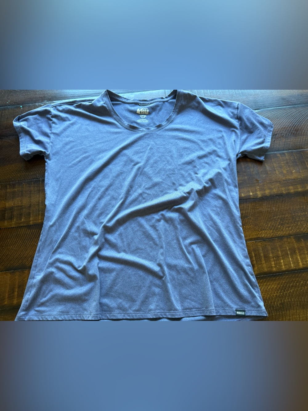Women’s‎ REI Short Sleeve Tee in heathered purple